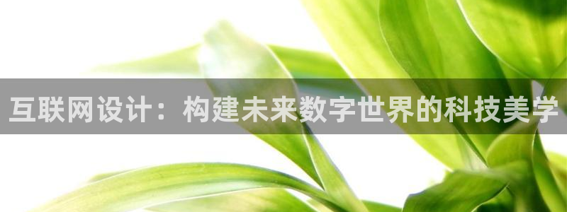 辉达娱乐公司