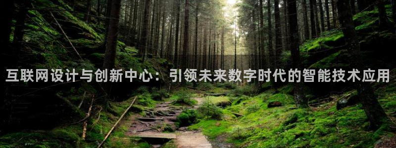辉达娱乐公司