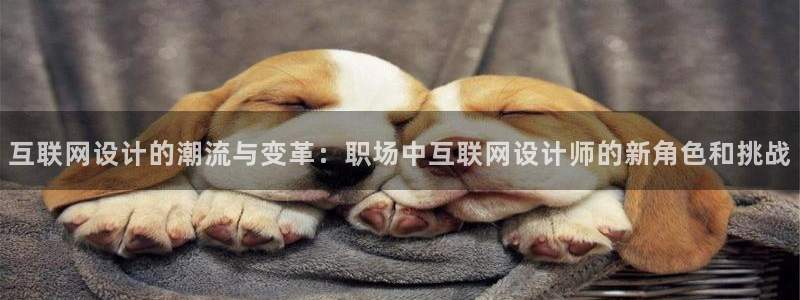 辉达娱乐招商