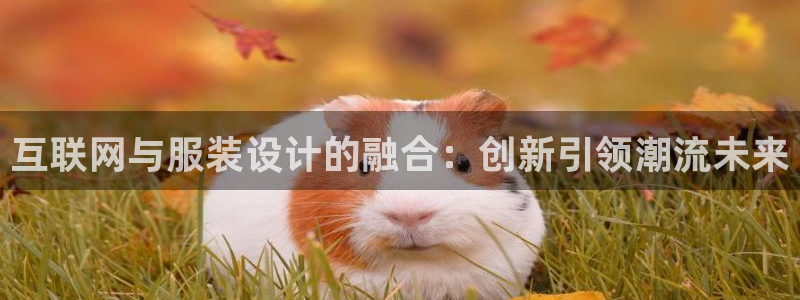辉达娱乐兼职