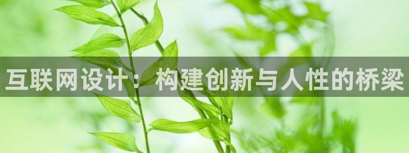 辉达娱乐己75505