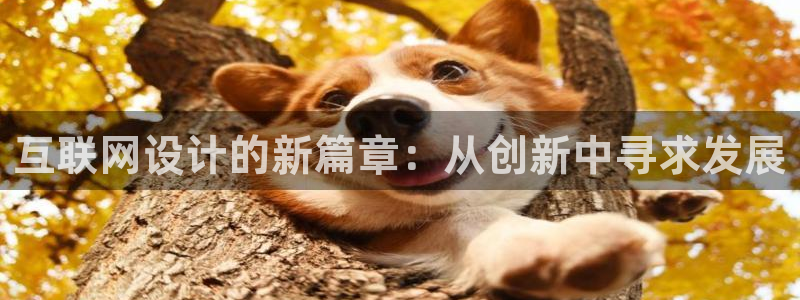 信誉辉达娱乐在线游戏