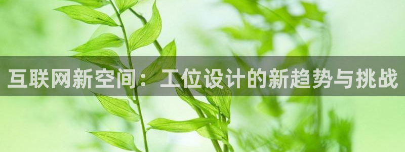 辉达娱乐珈75775