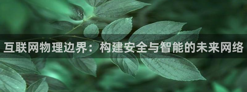 辉达娱乐招商