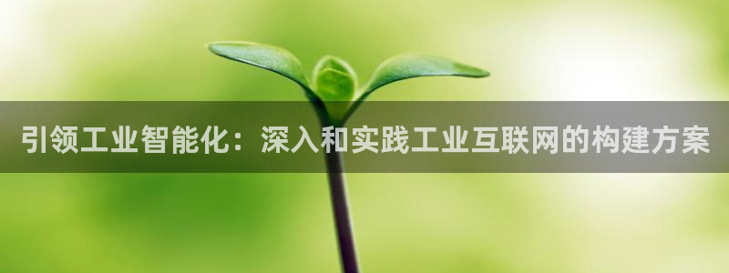 代理辉达娱乐平台