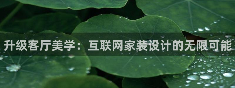 辉达娱乐检测