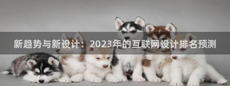 辉达平台娱乐怎么样