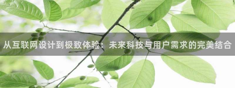 辉达娱乐电子