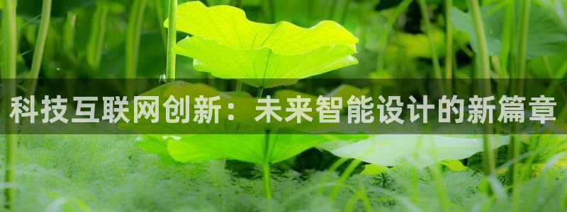 辉达娱乐体彩
