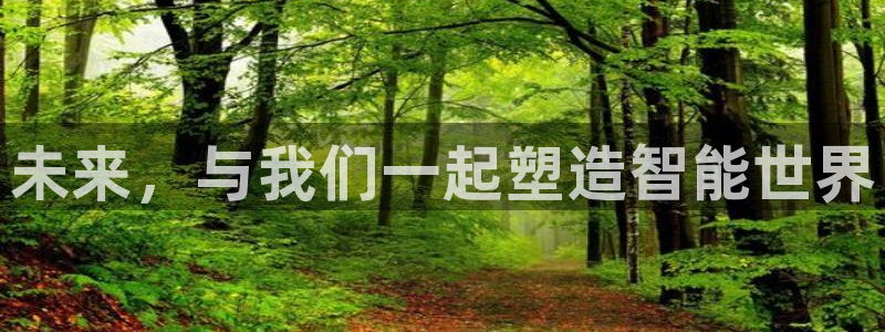 辉达娱乐时时彩平台