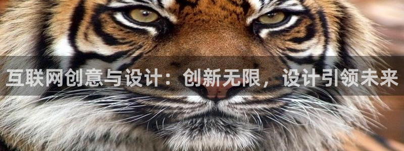 辉达娱乐珈75775