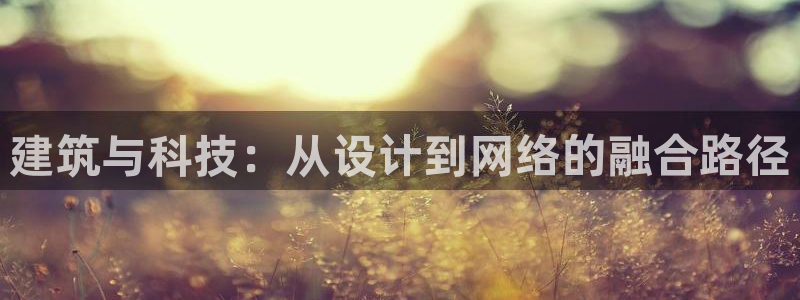 辉达娱乐计划软件