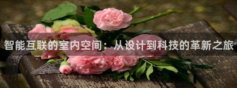 辉达娱乐时时彩