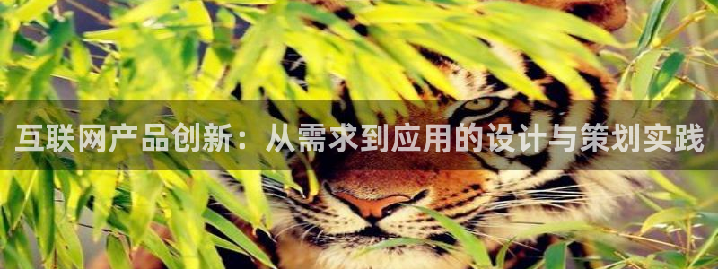 辉达娱乐123123