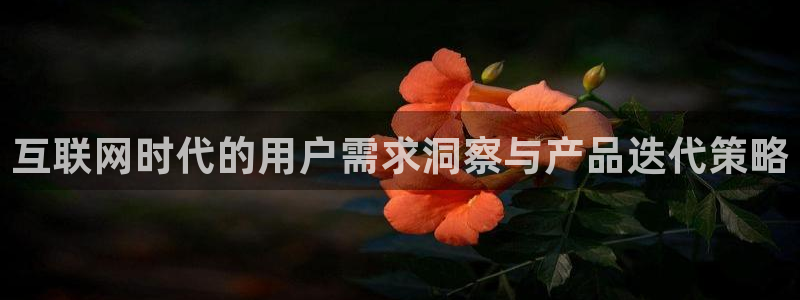 辉达娱乐福彩