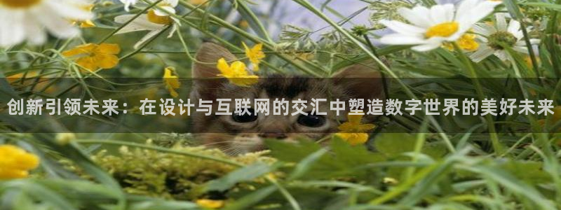 正规辉达娱乐