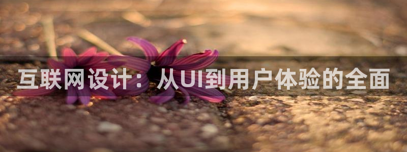 专业辉达娱乐平台