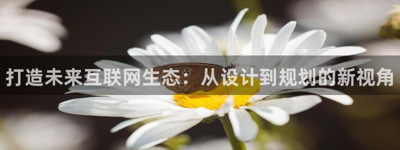 辉达娱乐游戏.直开.中国