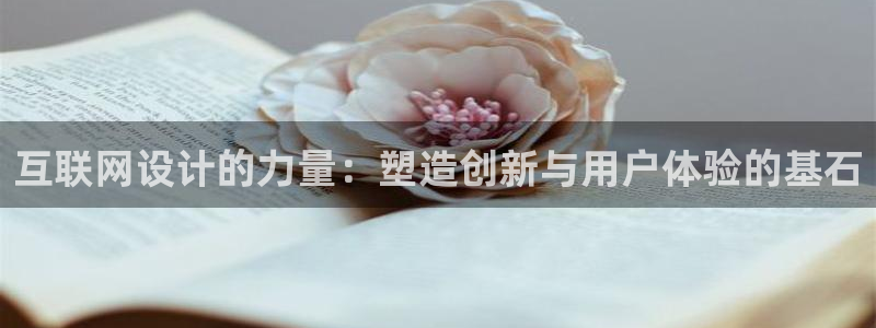 菲律宾辉达娱乐：互联网设计的力