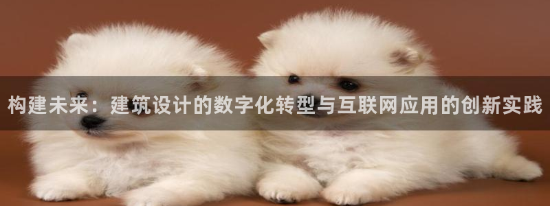 辉达娱乐检测