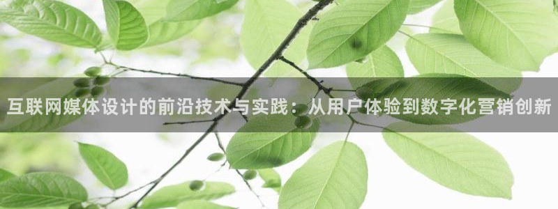 辉达娱乐己75505：互联网媒