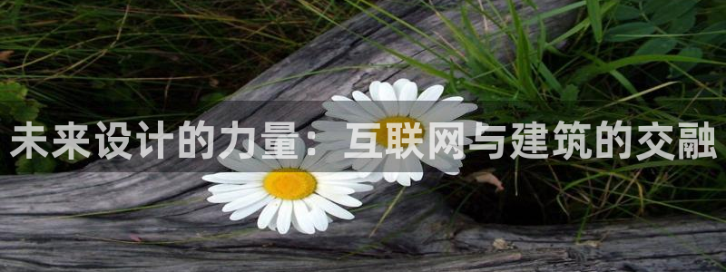 辉达娱乐：未来设计的力量：互联
