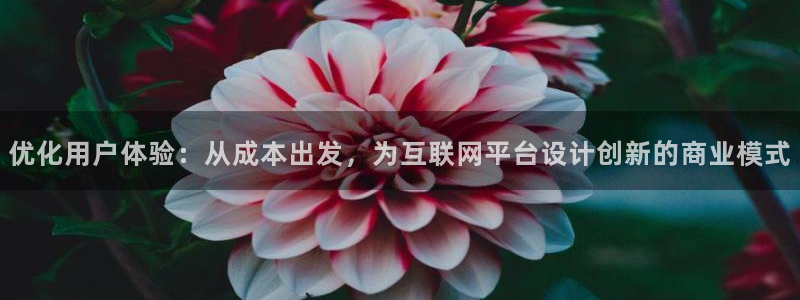信誉辉达娱乐