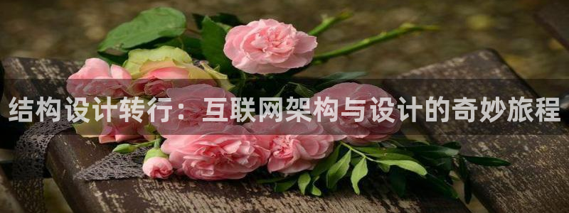 辉达娱乐招商