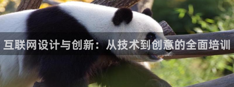 辉达娱乐重庆时时彩