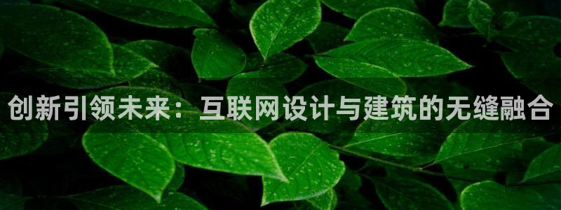 代理辉达娱乐