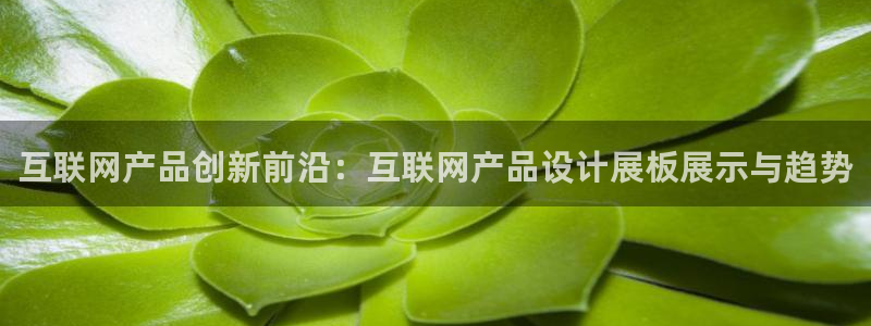 辉达娱乐丨39444