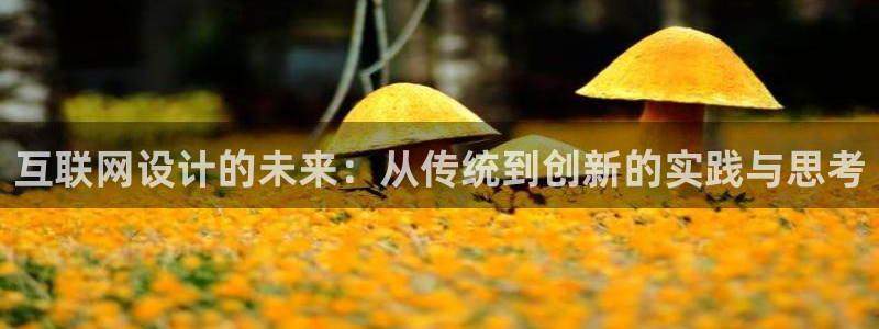 辉达娱乐加q75775