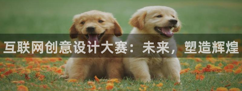 辉达娱乐最新版本更新内容