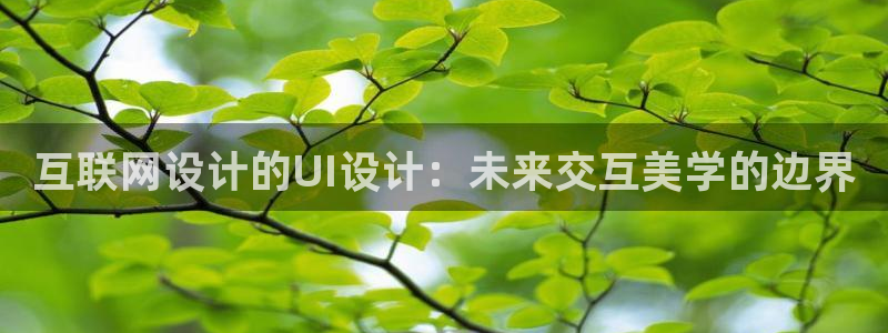 辉达娱乐丿39444