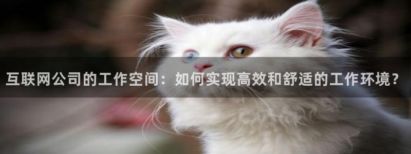 辉达娱乐