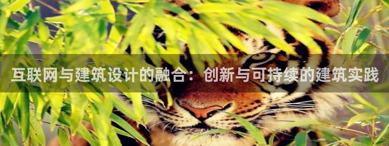 辉达娱乐正规吗