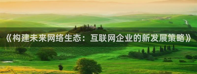 辉达娱乐计划软件