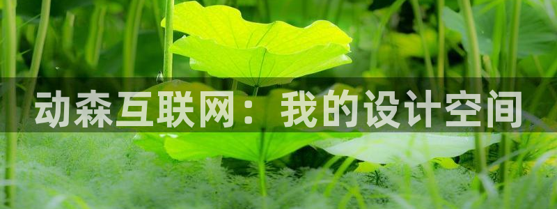 辉达娱乐最新消息新闻