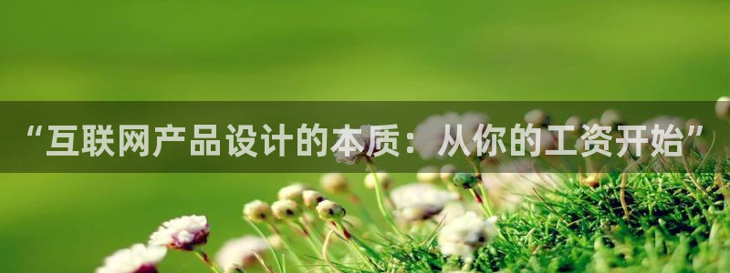 辉达娱乐app
