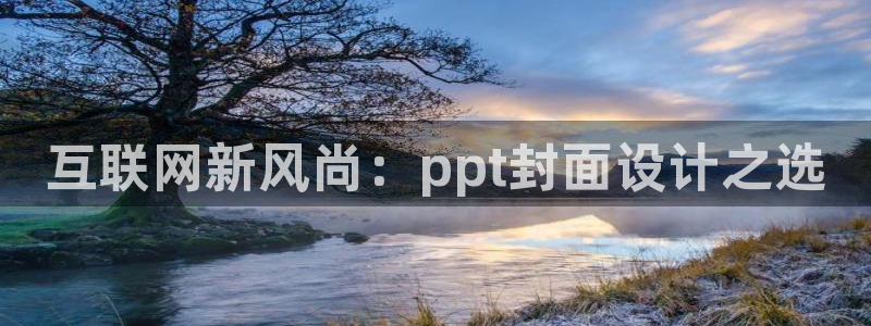 辉达娱乐公司