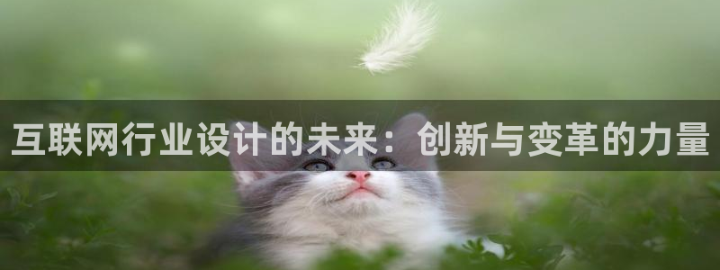 辉达娱乐招商