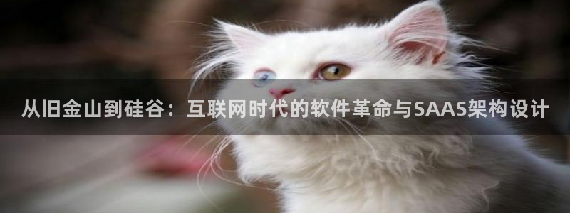 辉达平台娱乐怎么样