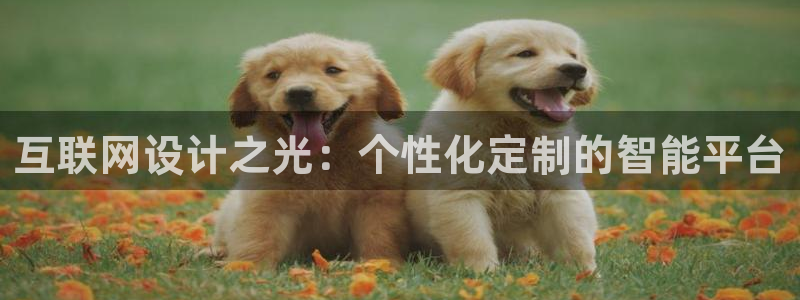 专业辉达娱乐官方网址