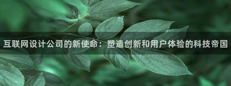辉达怎么样