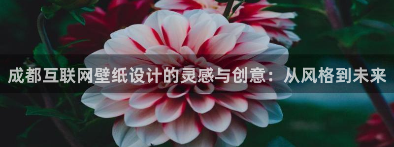 辉达娱乐丿75505
