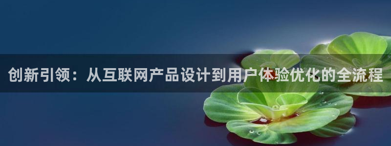 正规辉达娱乐在线游戏