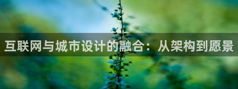 辉达娱乐五75505
