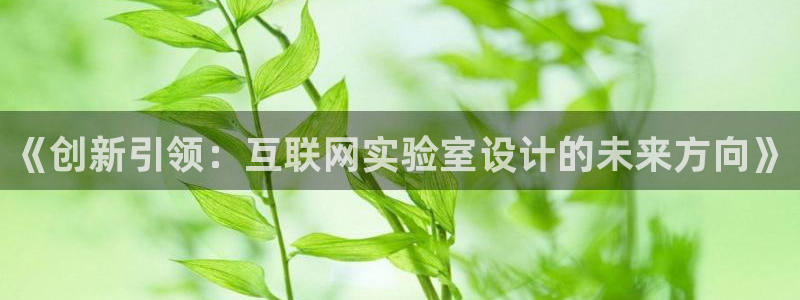 辉达平台娱乐怎么样