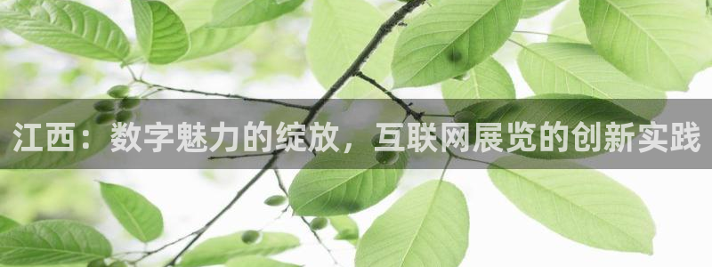 辉达娱乐广东11选5
