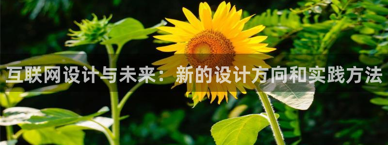 辉达娱乐丿75505